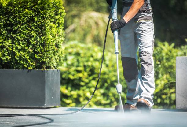 Best Driveway Pressure Washing  in Exander City, AL